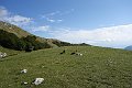 DSC05213_Pohoří Durmitor